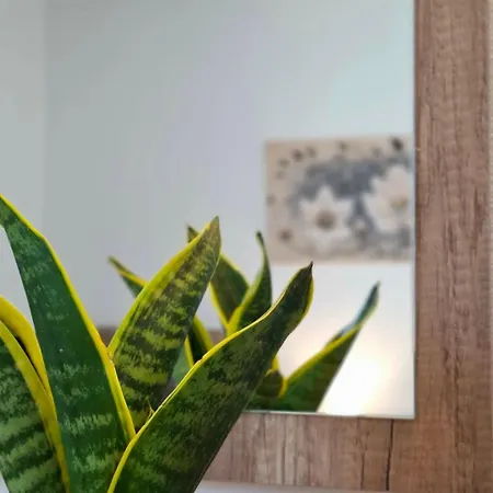 Apartamento Eleni No3